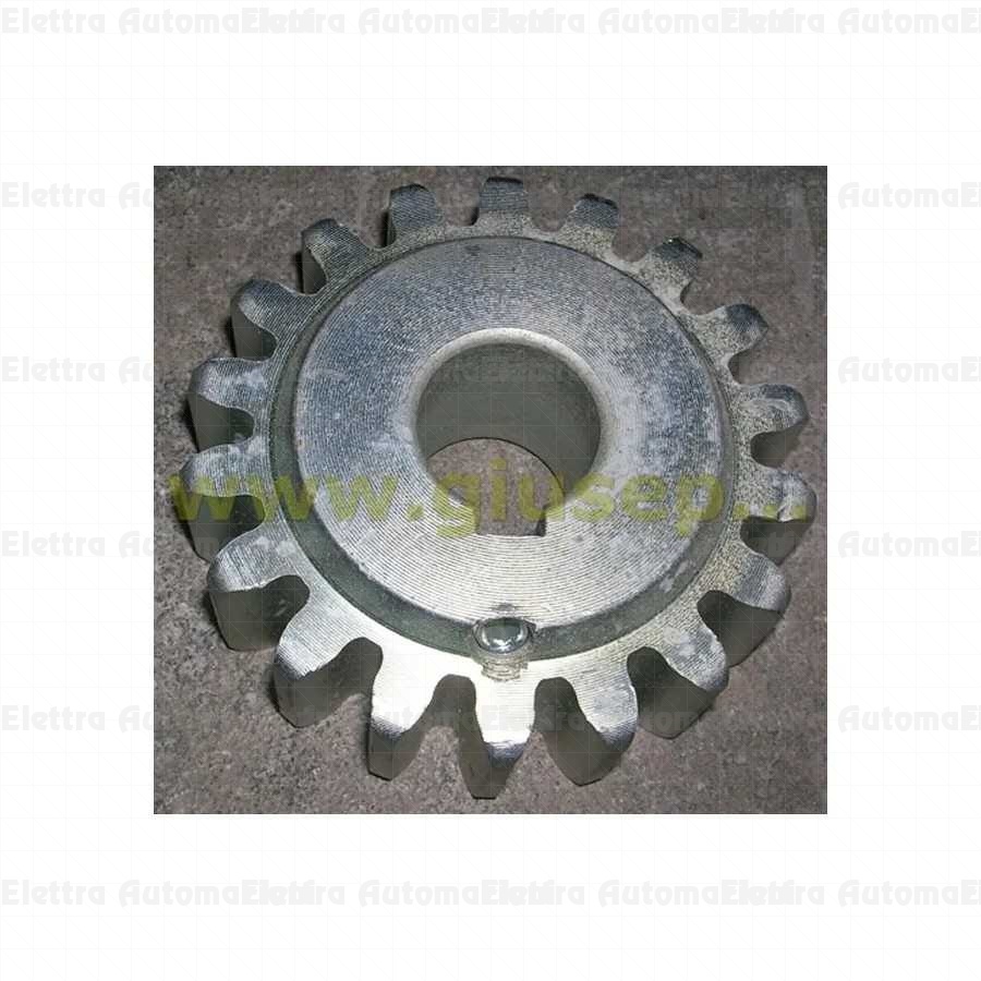 Pignone Fadini Ricambio originale MEC 200 Nyota 115 Junior Girri 130